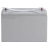 VEVOR Deep Cycle Battery, 12V 100 AH, AGM Marine Rechargeable Battery, High Self-Discharge Rate 800A Current